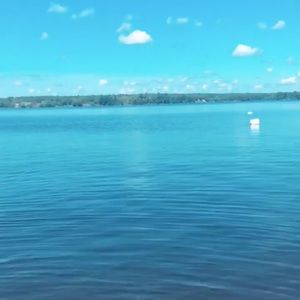 Meet your Posher, Eliora